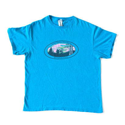 Men's Great Smoky Mountains National Park Blue T-Shirt